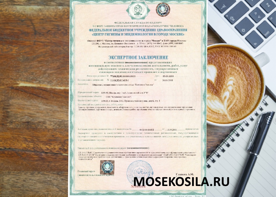 Опубликованный документ компании